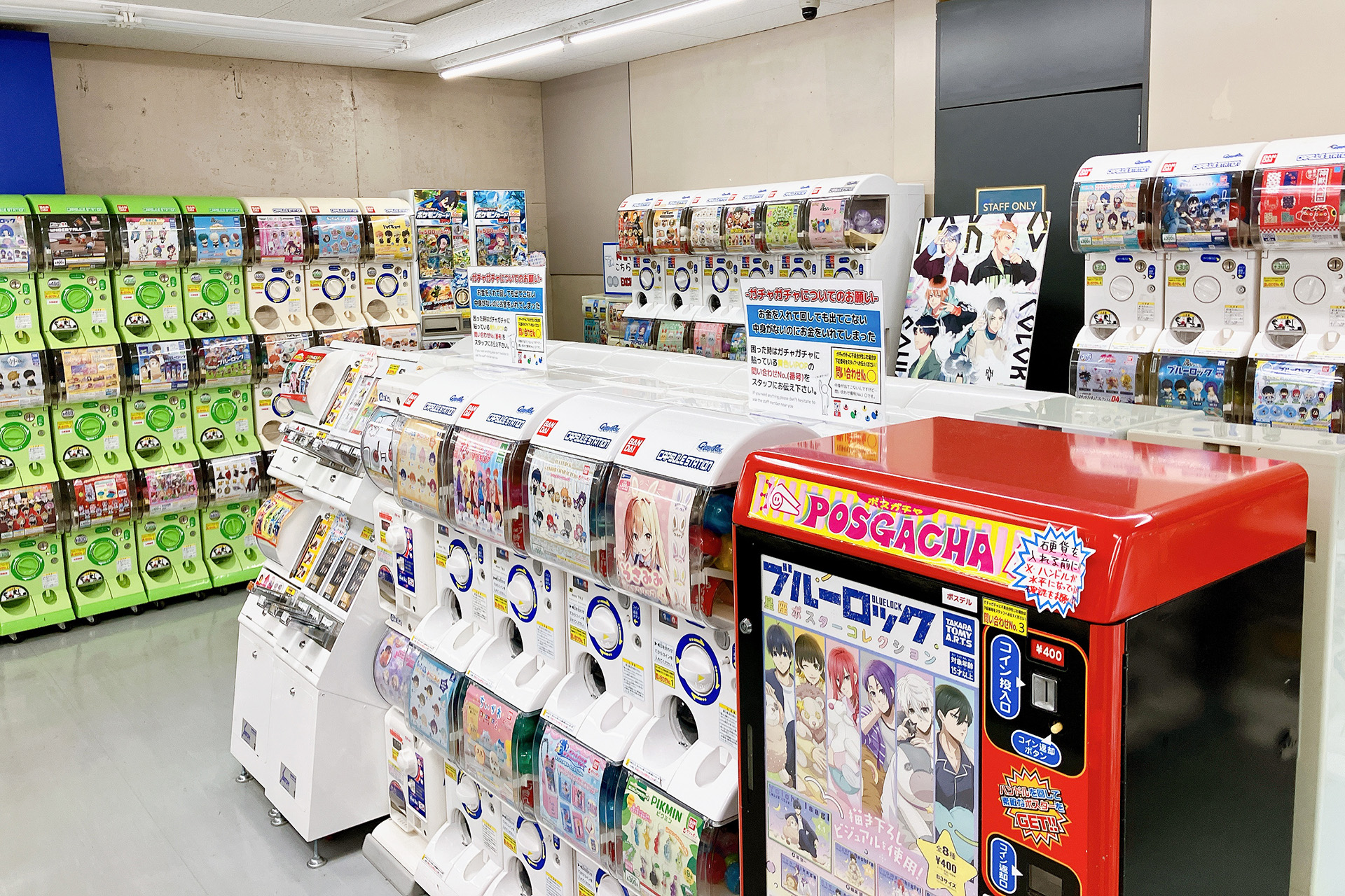 animate Aomori