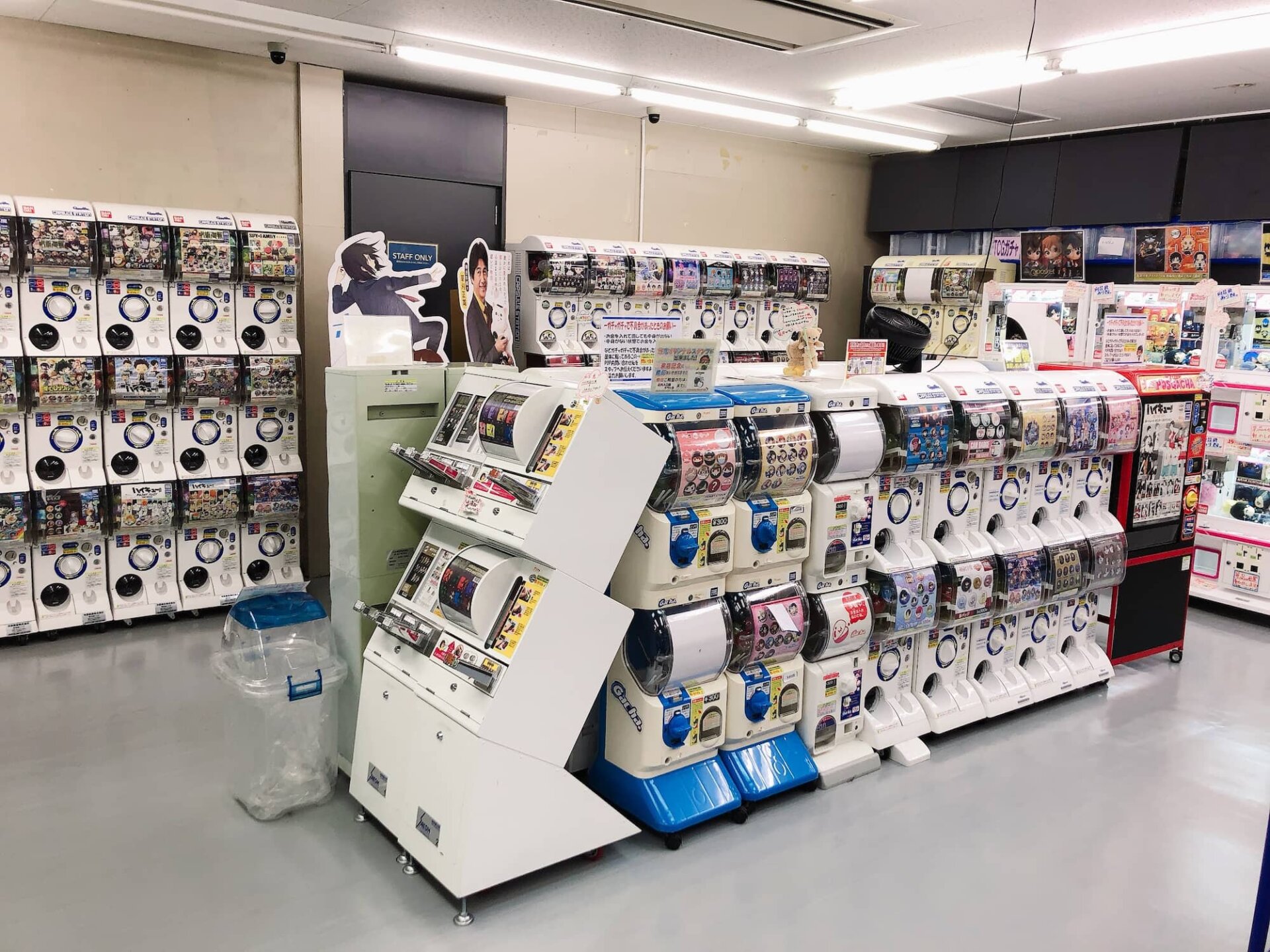 animate Aomori