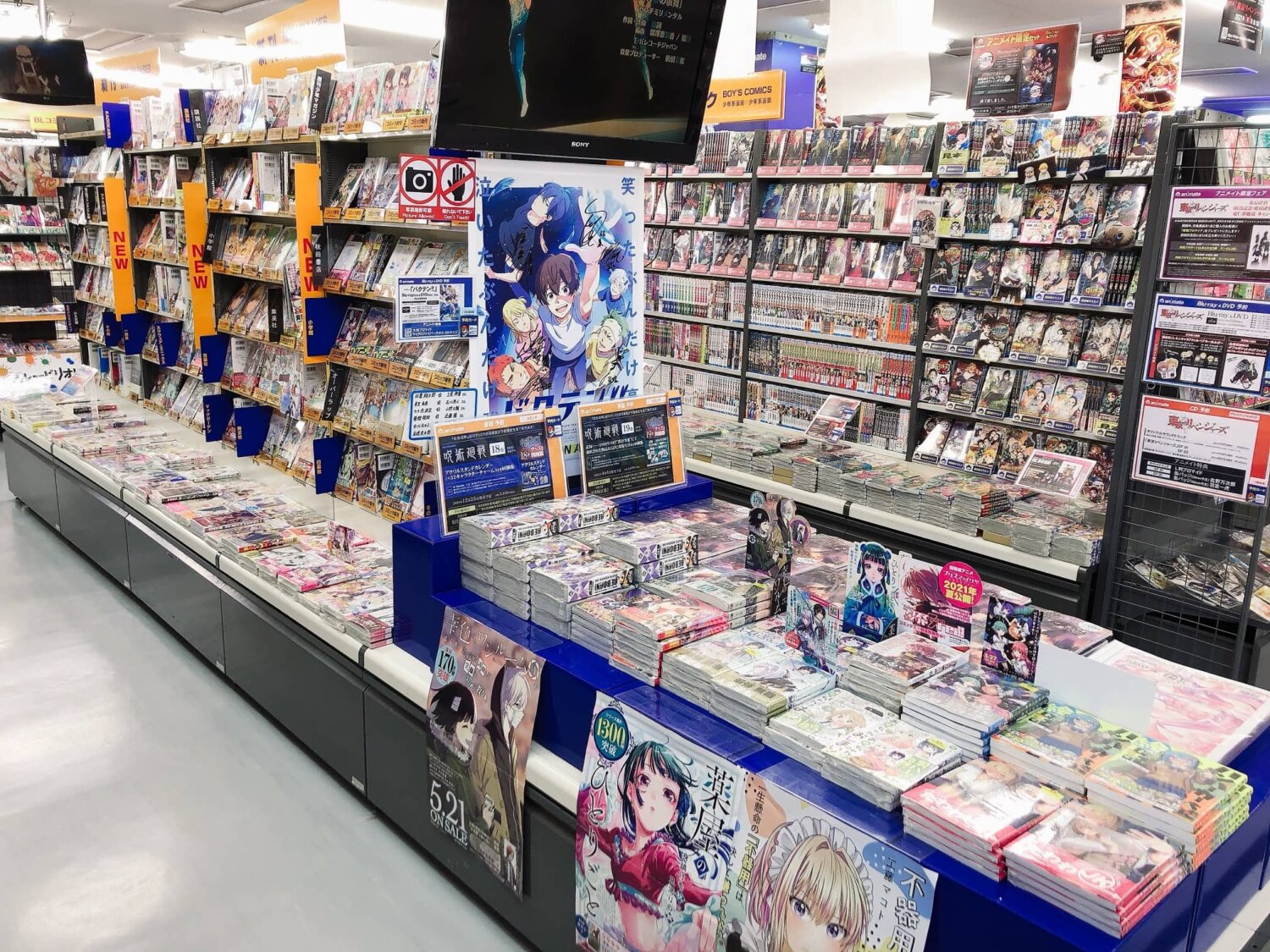 animate Aomori