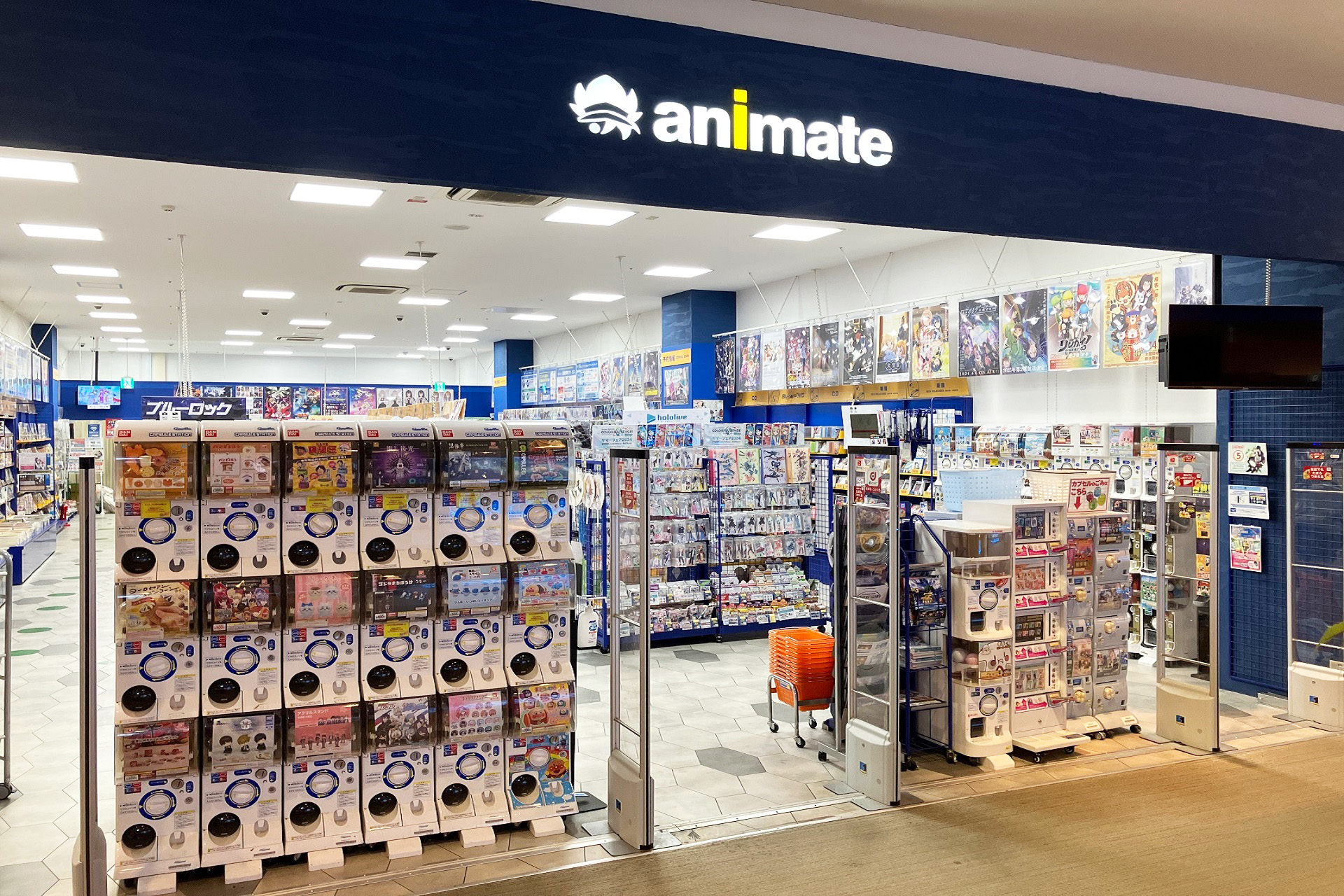 animate ららぽーと富士见