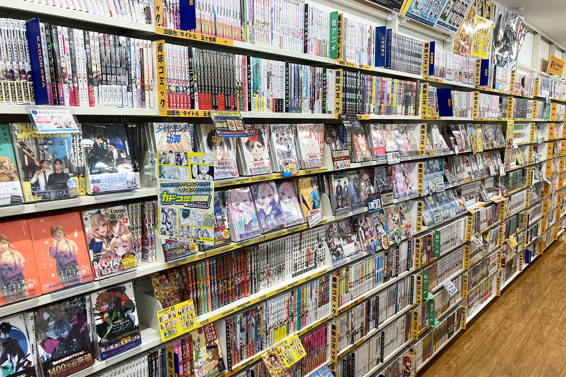 animate Hachinohe Lapia