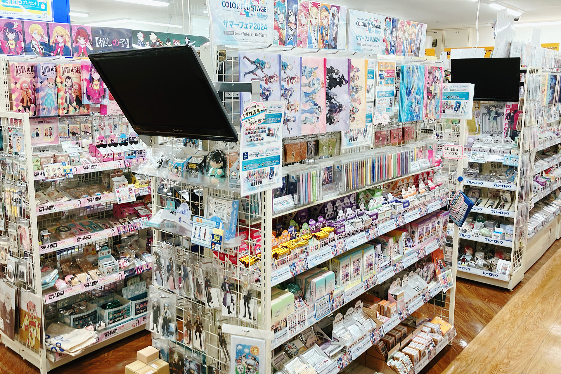 animate Hachinohe Lapia