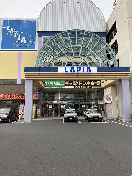 animate八户Lapia