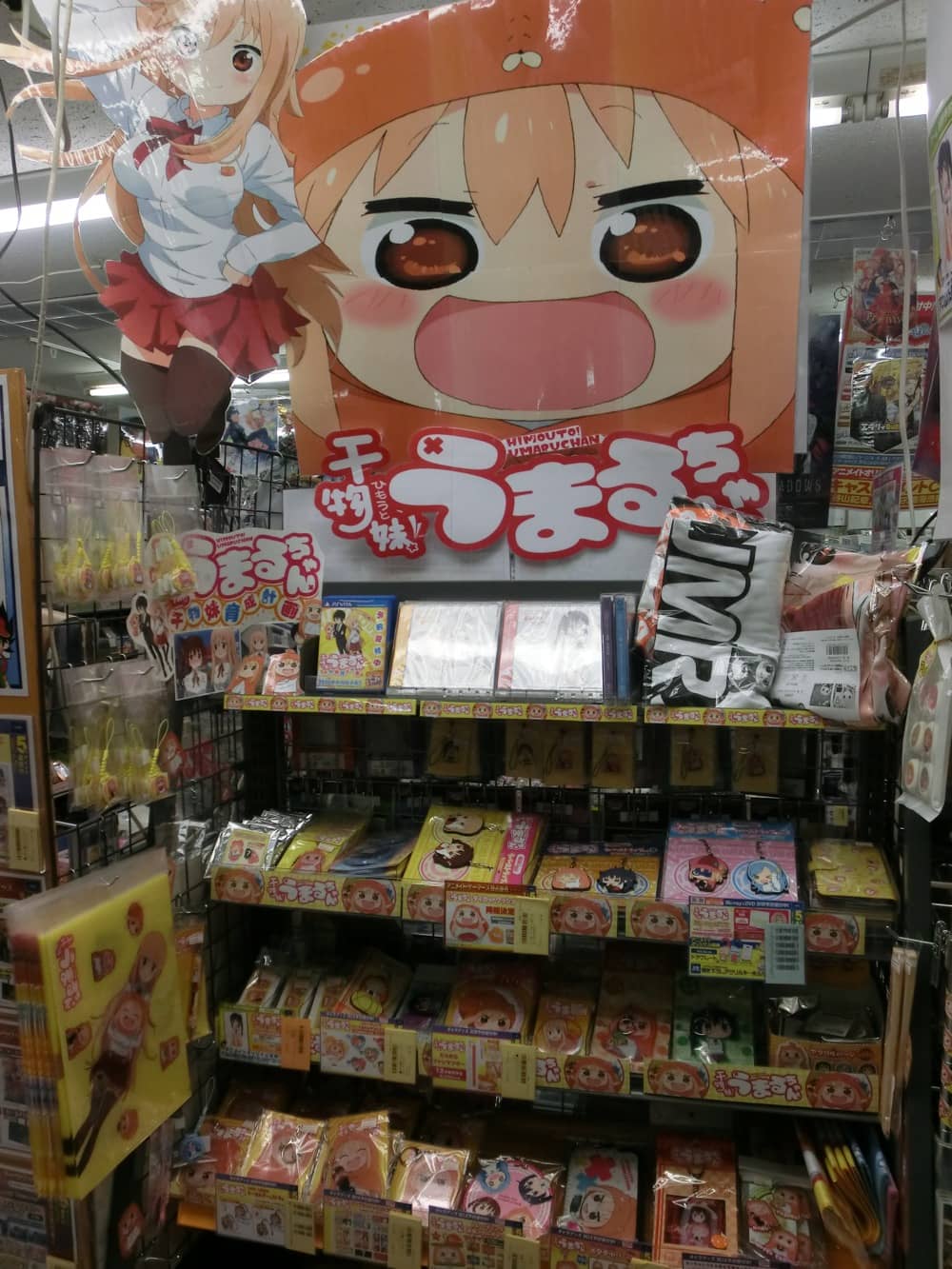 animate Hachioji