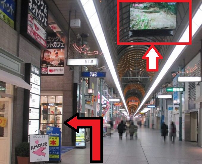 animate Matsuyama