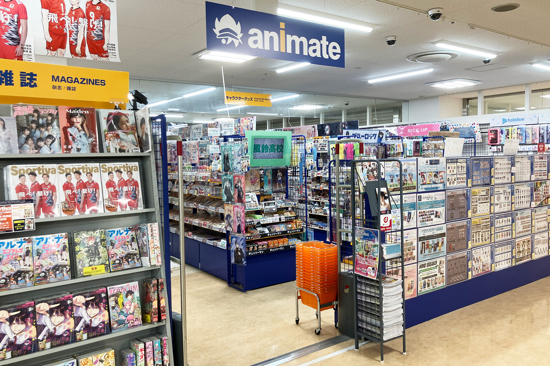 animate ROBLE小山