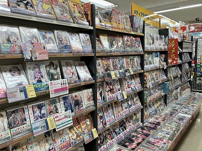 animate Hamamatsu