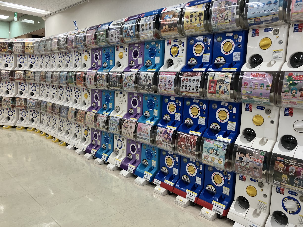 animate Hamamatsu