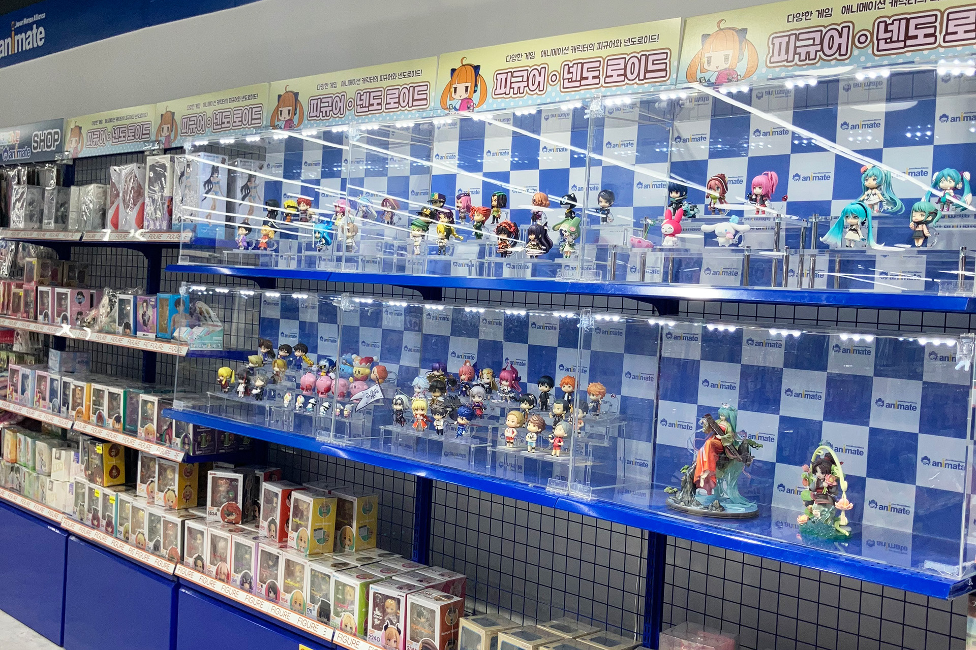 アニメイト KOREA main store ホンデ