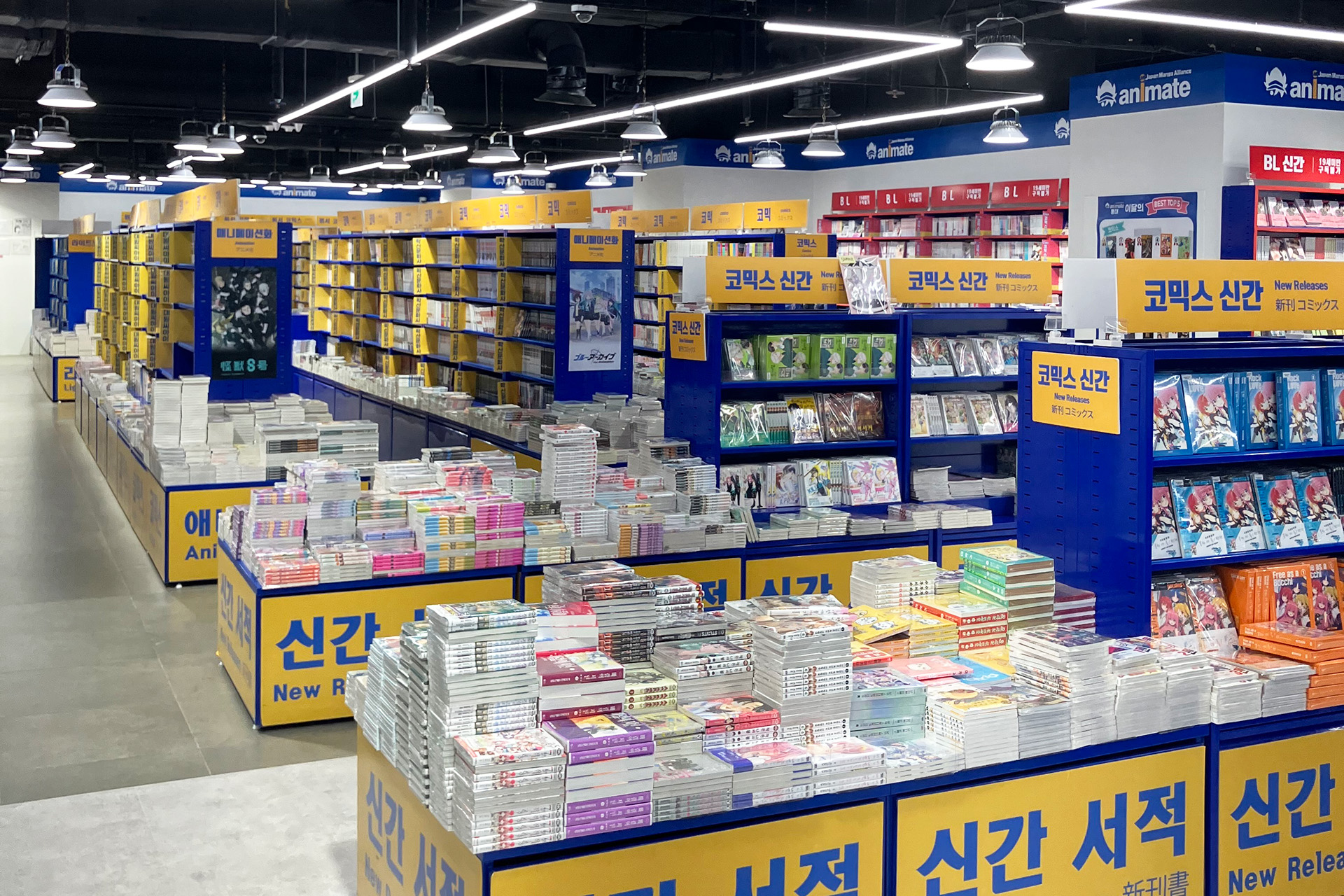 アニメイト KOREA main store ホンデ