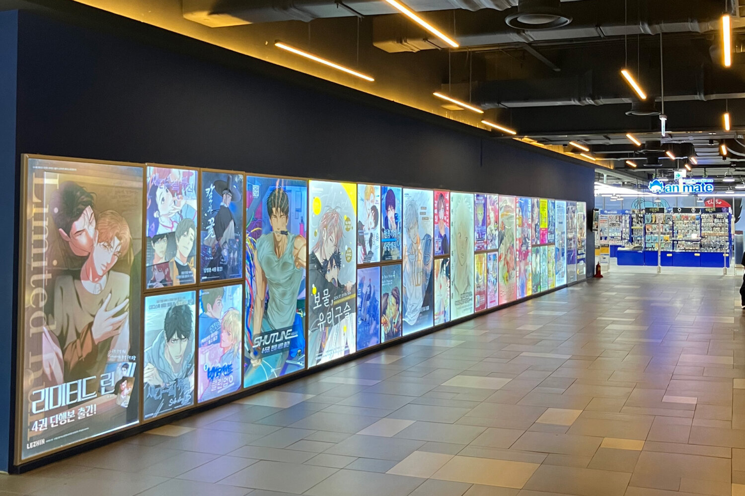 animate KOREA 总店弘大