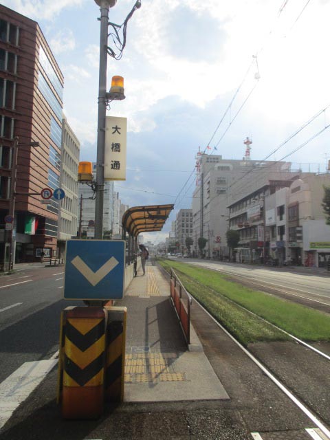 animate Kochi