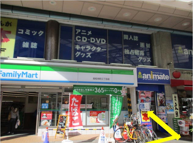 animate Kochi