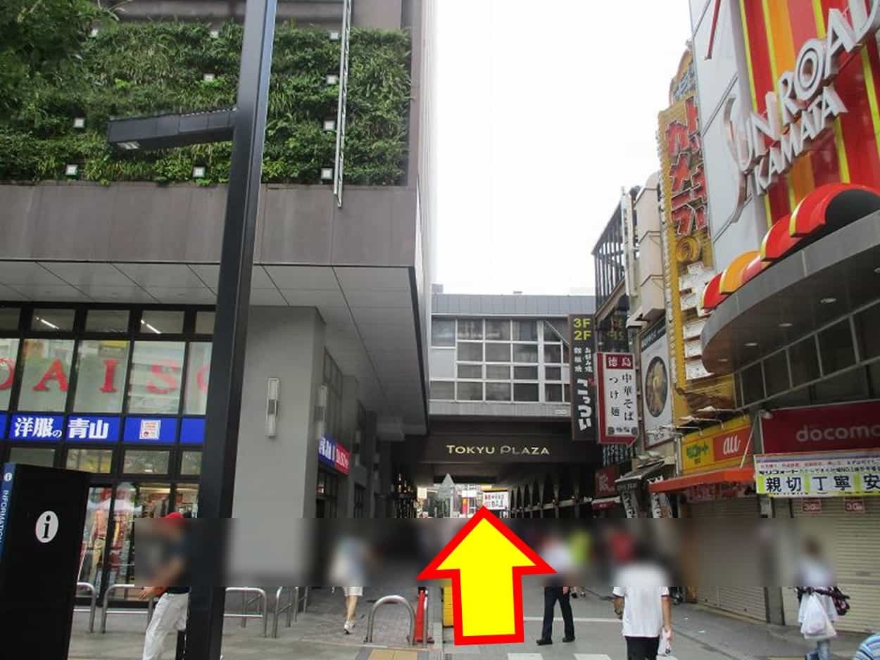 animate Kamata