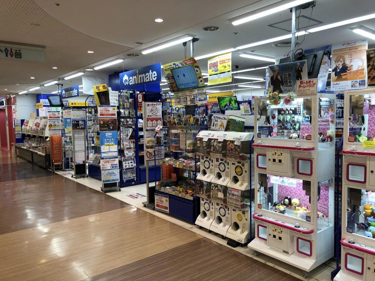 animate Wakayama