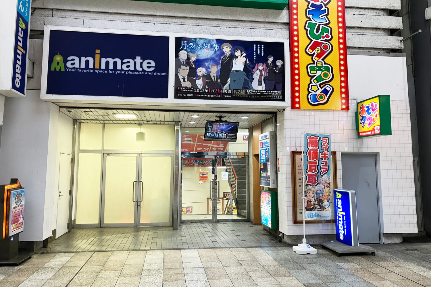 animate Kumamoto