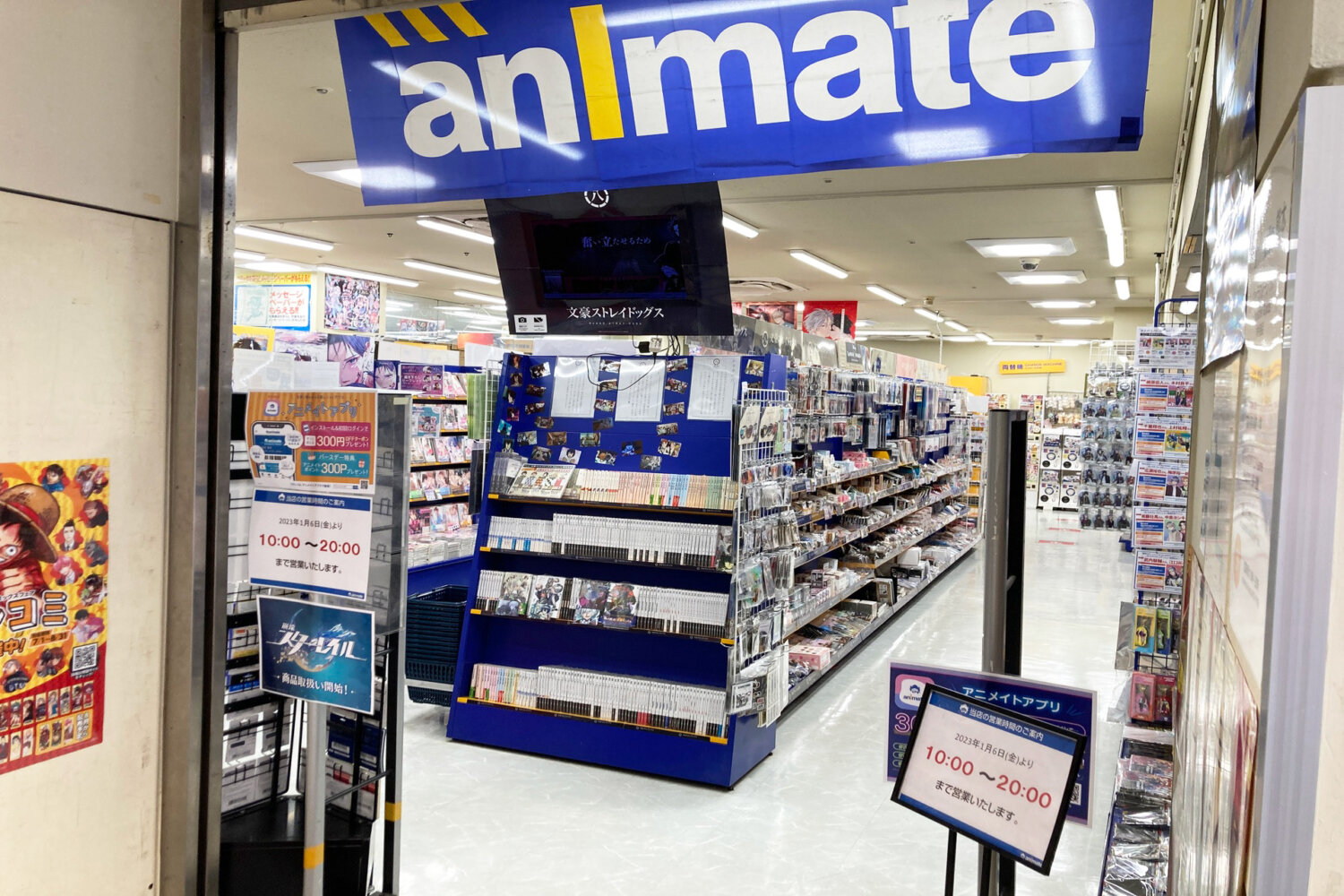 animate Kumamoto