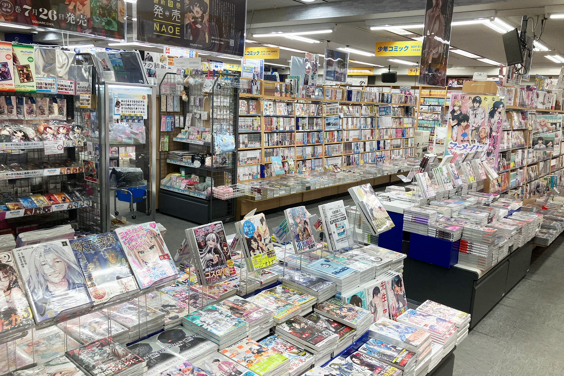 animate Kyobashi