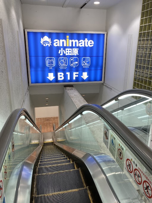 animate小田原