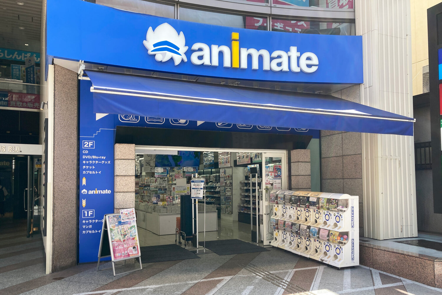 animate Machida