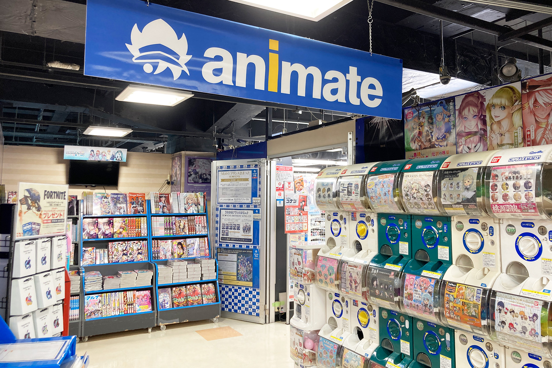 animate Matsudo