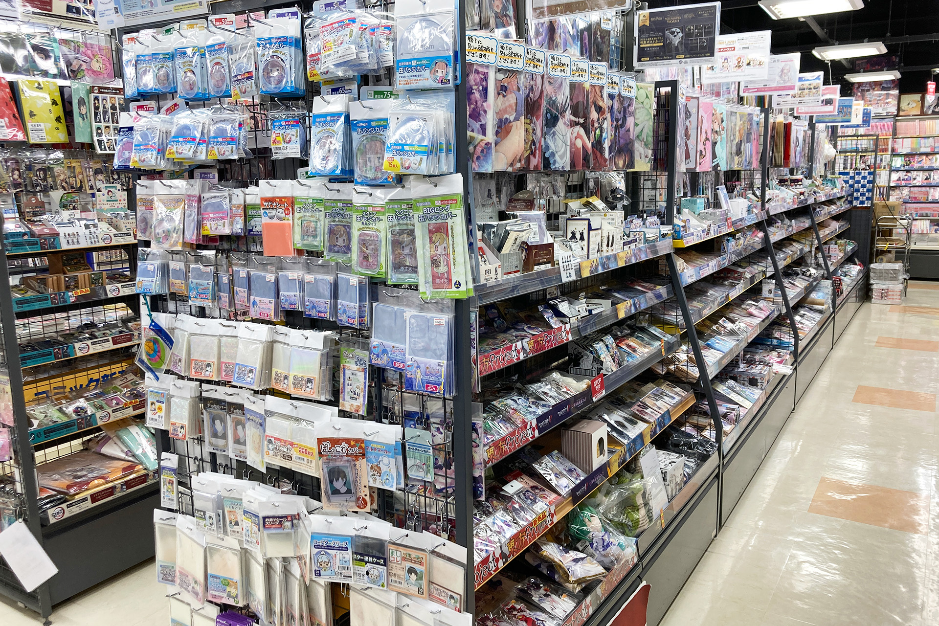 animate Matsudo