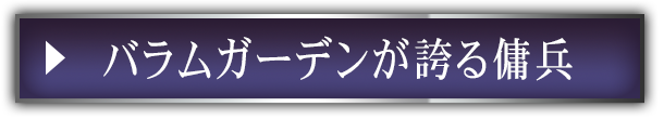 バラムガーデンが誇る傭兵